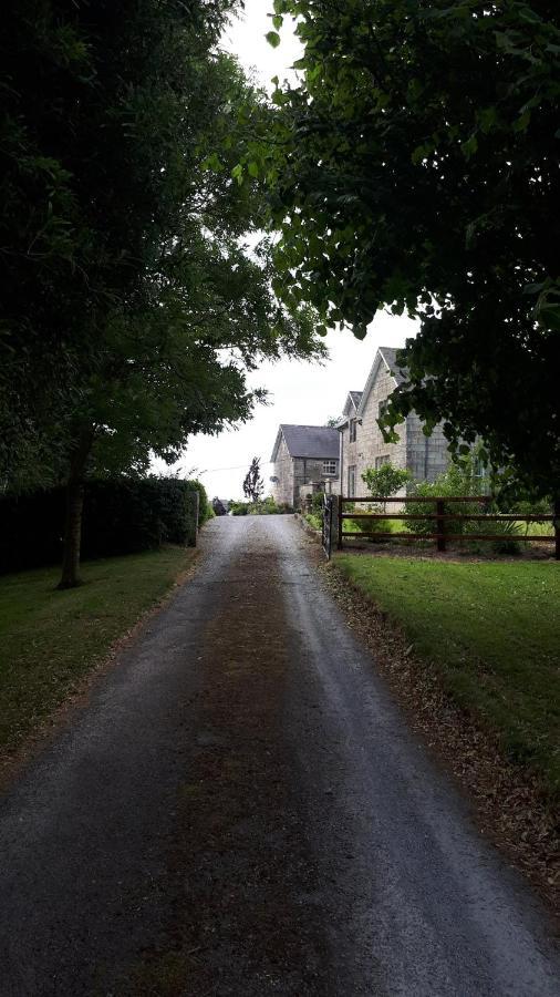 Lorum Old Rectory Bagenalstown Εξωτερικό φωτογραφία