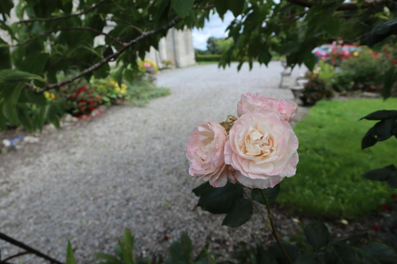 Lorum Old Rectory Bagenalstown Εξωτερικό φωτογραφία